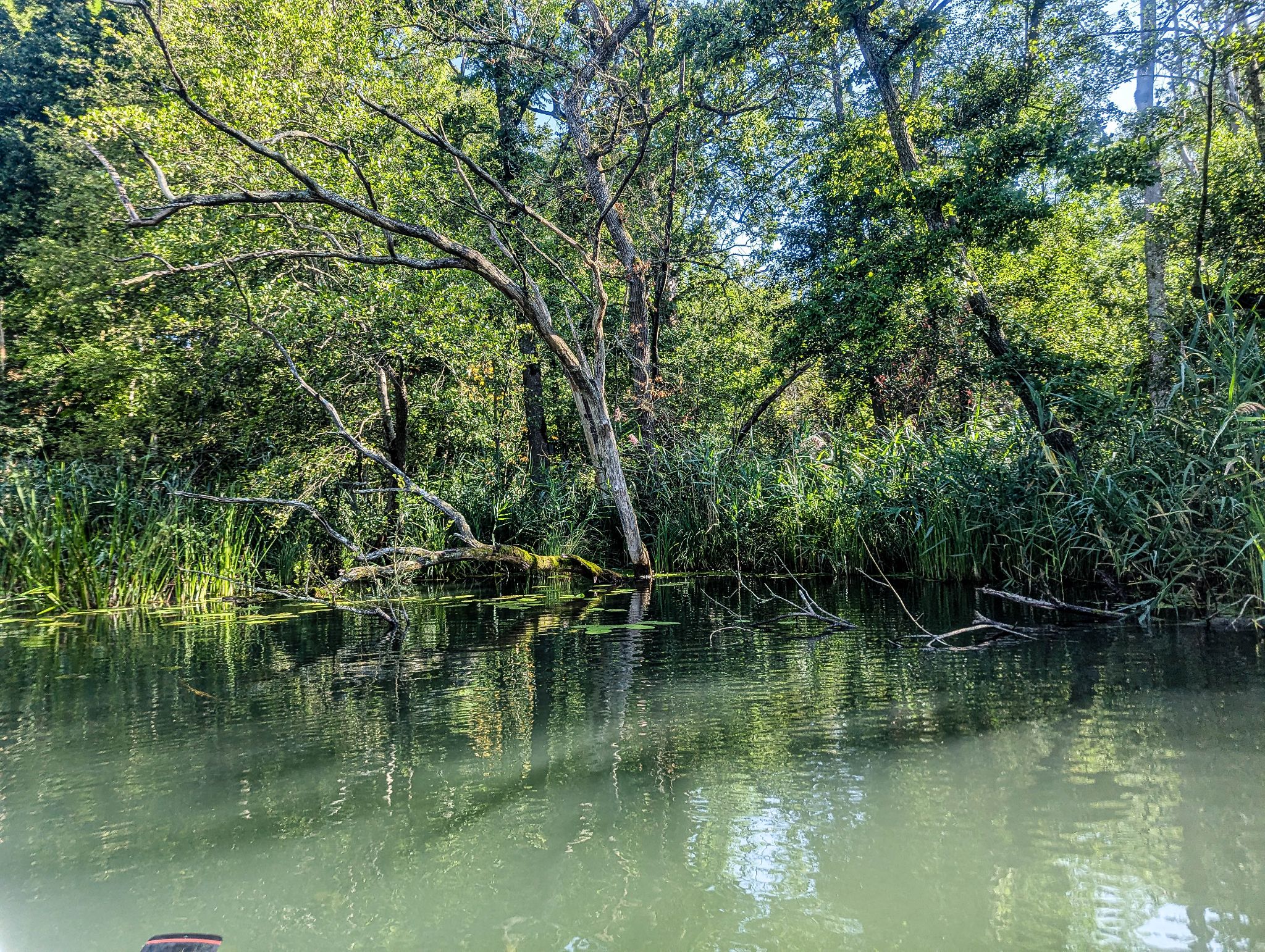 Kajaktour Leutstettner Moos 15.08.2024
